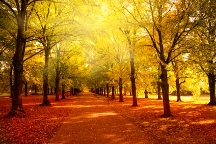 late summer